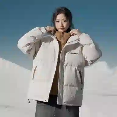 SNOW FLYING Logo85