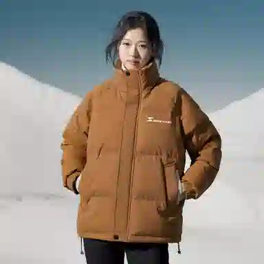 SNOW FLYING Logo85