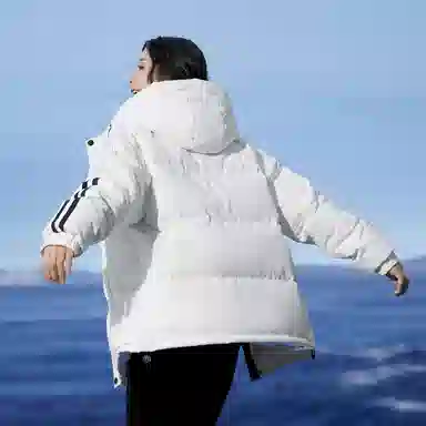 SNOW FLYING