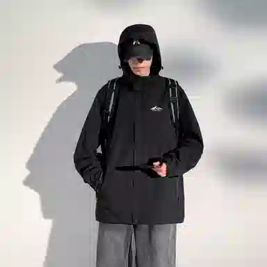 SNOW FLYING 1.0 LOGO