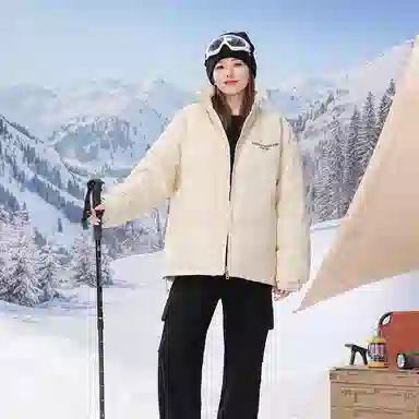 SNOW FLYING