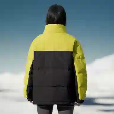 SNOW FLYING 85