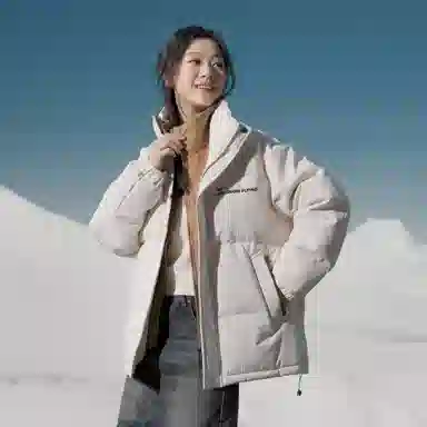 SNOW FLYING Logo85