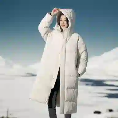 SNOW FLYING