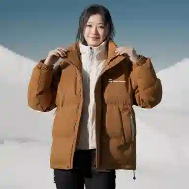 SNOW FLYING Logo85