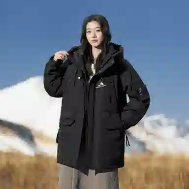 SNOW FLYING