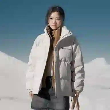 SNOW FLYING Logo85