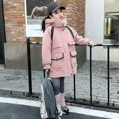 ALI THE FOX
