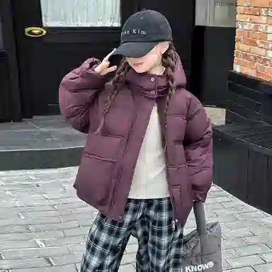 ALI THE FOX
