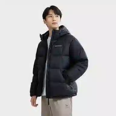 CAMEL Penguin Series