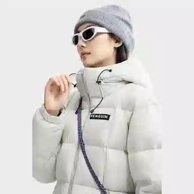 CAMEL Penguin Series