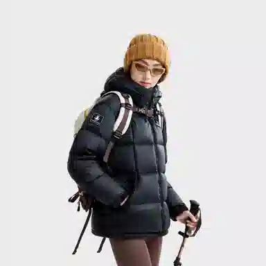 CAMEL Penguin Series