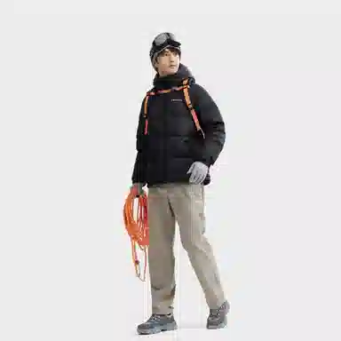 CAMEL Penguin Series