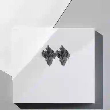 前方大荒野 异形十字架街头嘻哈朋克风欧美时尚小众设计日常通勤百搭潮酷痞帅气质#好运 钛钢 耳钉 男款