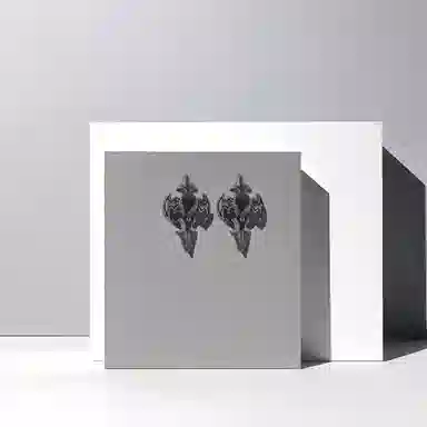 前方大荒野 异形十字架街头嘻哈朋克风欧美时尚小众设计日常通勤百搭潮酷痞帅气质#好运 钛钢 耳钉 男款