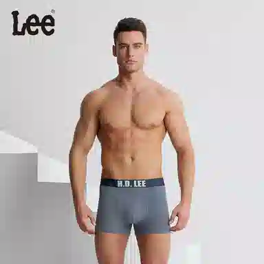 Lee 3
