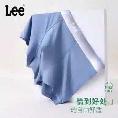 Lee 4.0 4