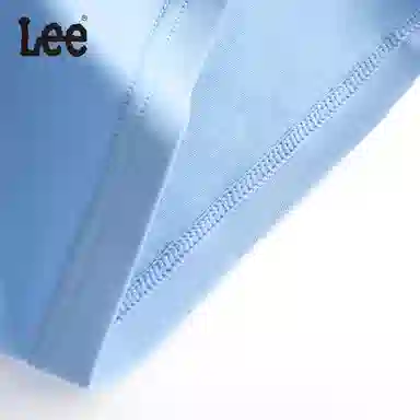 Lee 5