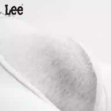 Lee 1.0 2