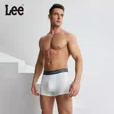 Lee 5