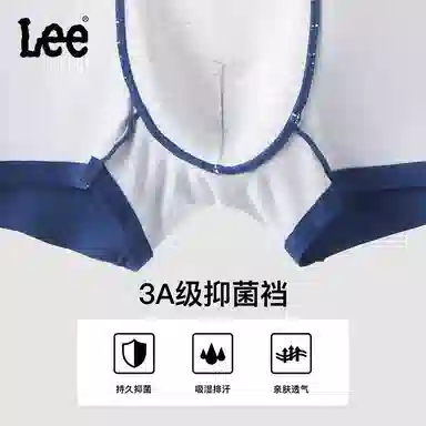 Lee 3
