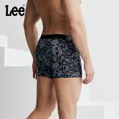 Lee 1
