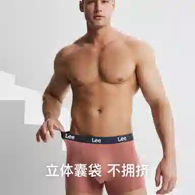 Lee 1