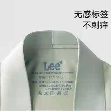 Lee 5.01.0 7A 5