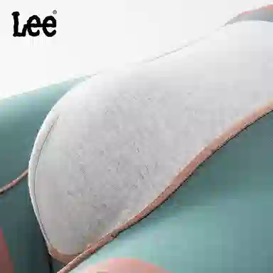 Lee 3