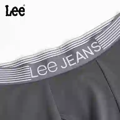Lee 1.0 logo 3