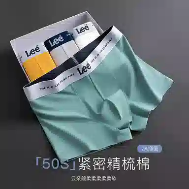 Lee 5