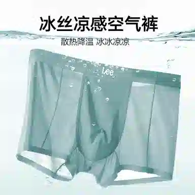 Lee 4