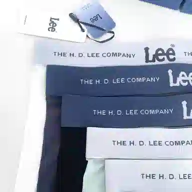 Lee 3