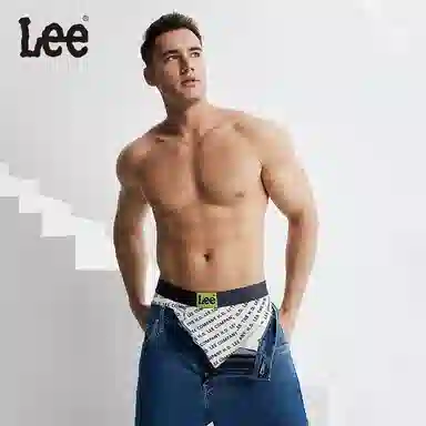 Lee 3