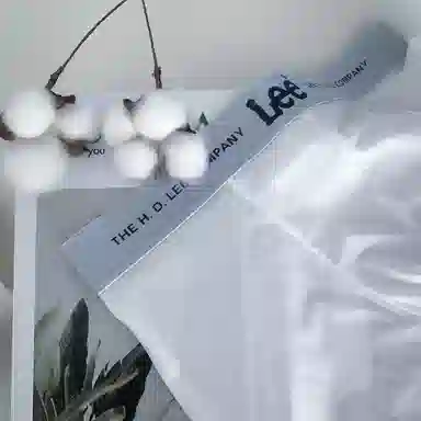 Lee SS25 INDIGO 10A 5