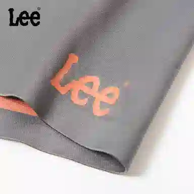 Lee 4