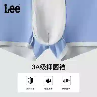 Lee 3