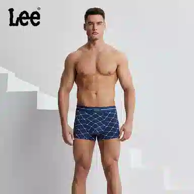 Lee logo 1