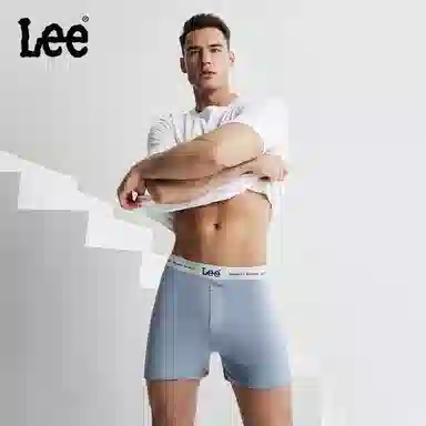 Lee 3
