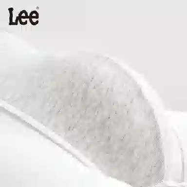 Lee 5