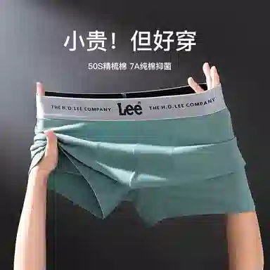 Lee 5