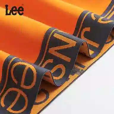 Lee 4