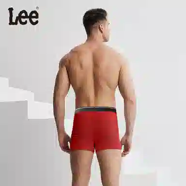Lee 7A 2