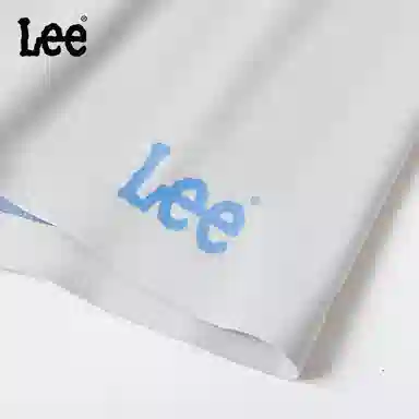 Lee 3