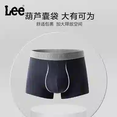 Lee 4