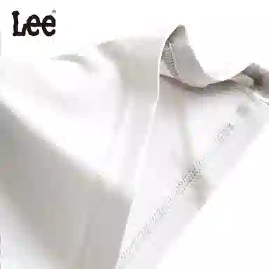 Lee 5