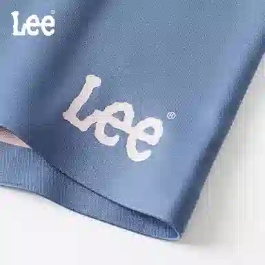 Lee 4