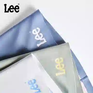 Lee 5