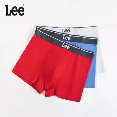 Lee 4.0 5