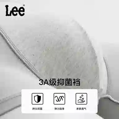 Lee 3